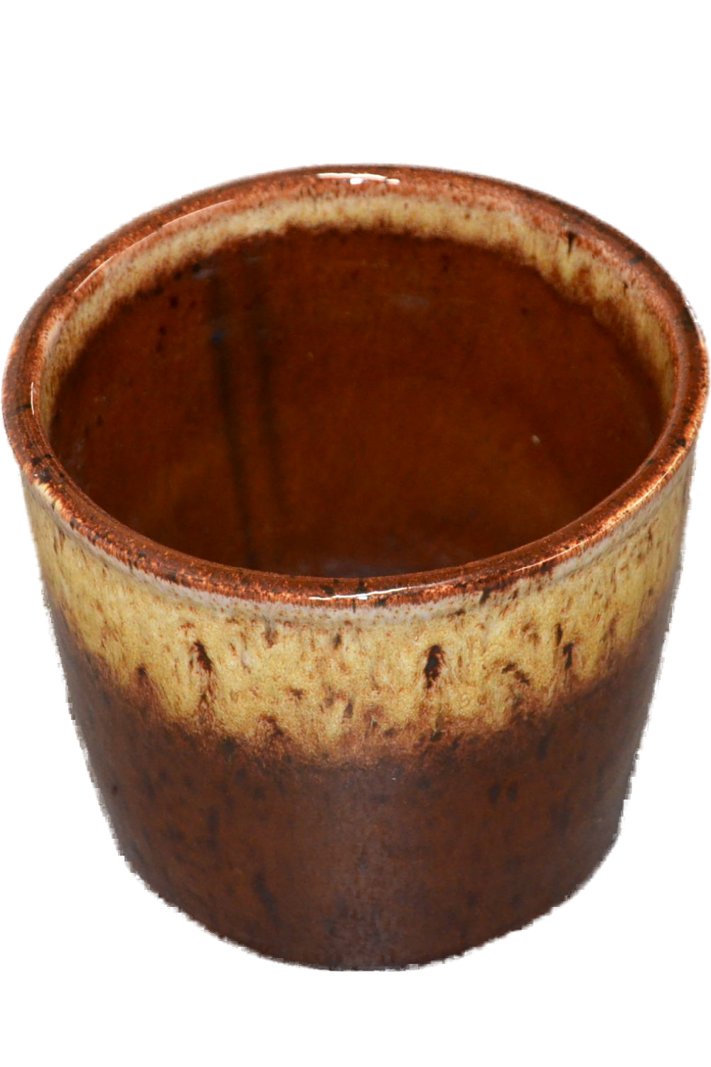 Übertopf Zimmerpflanze