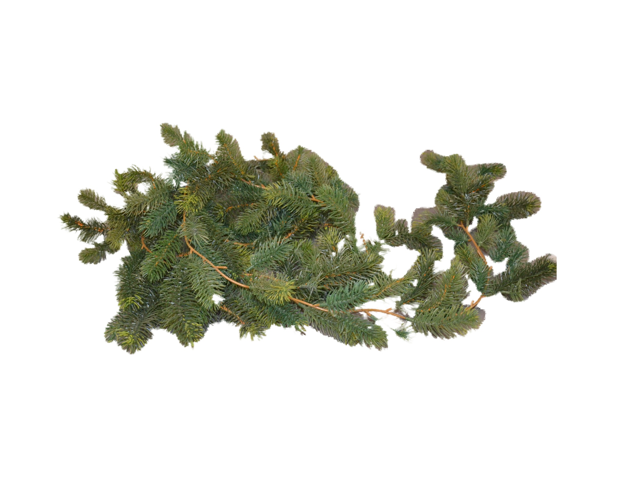 Tannengirlande 250cm