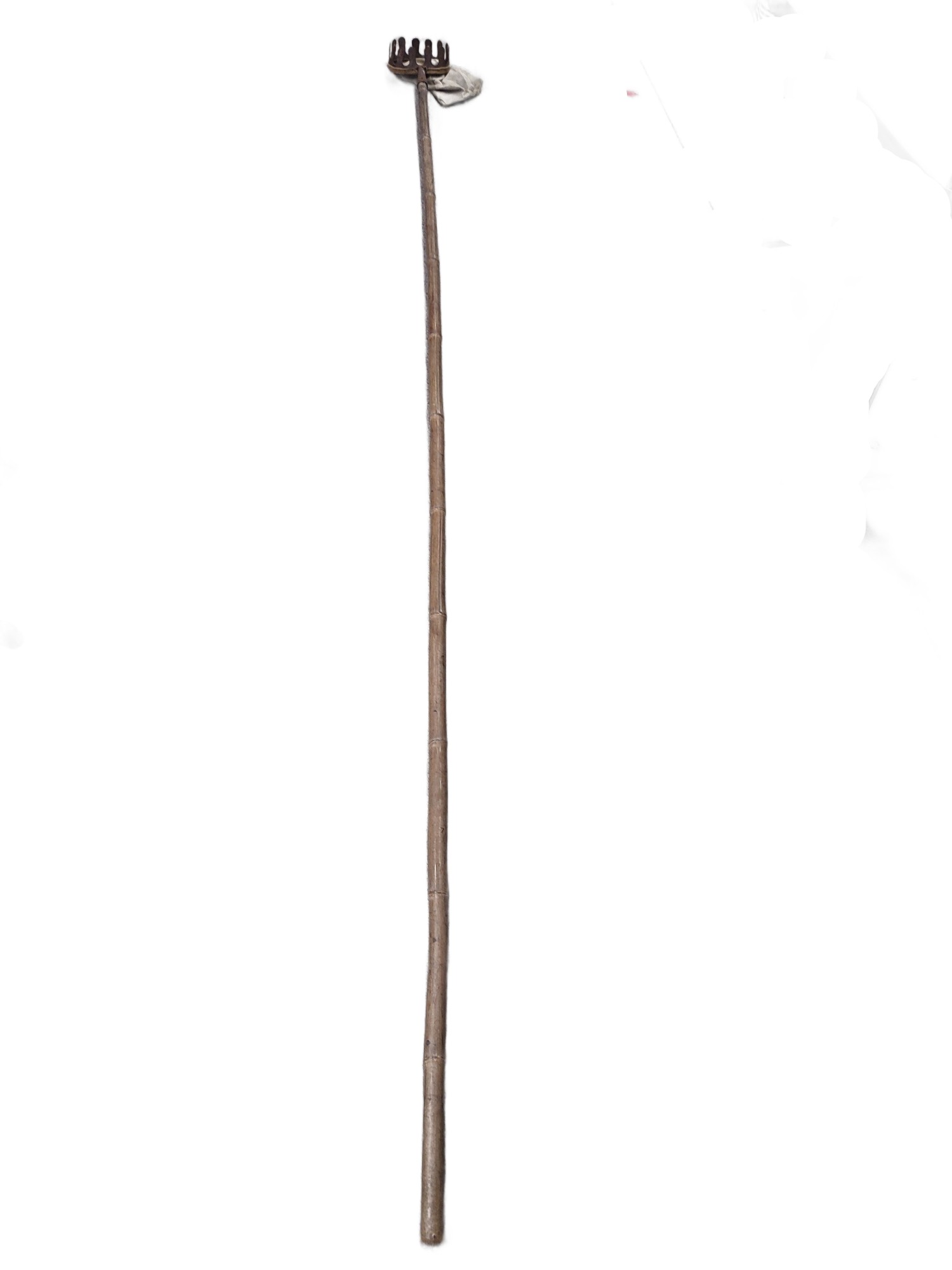 Obstpflücker