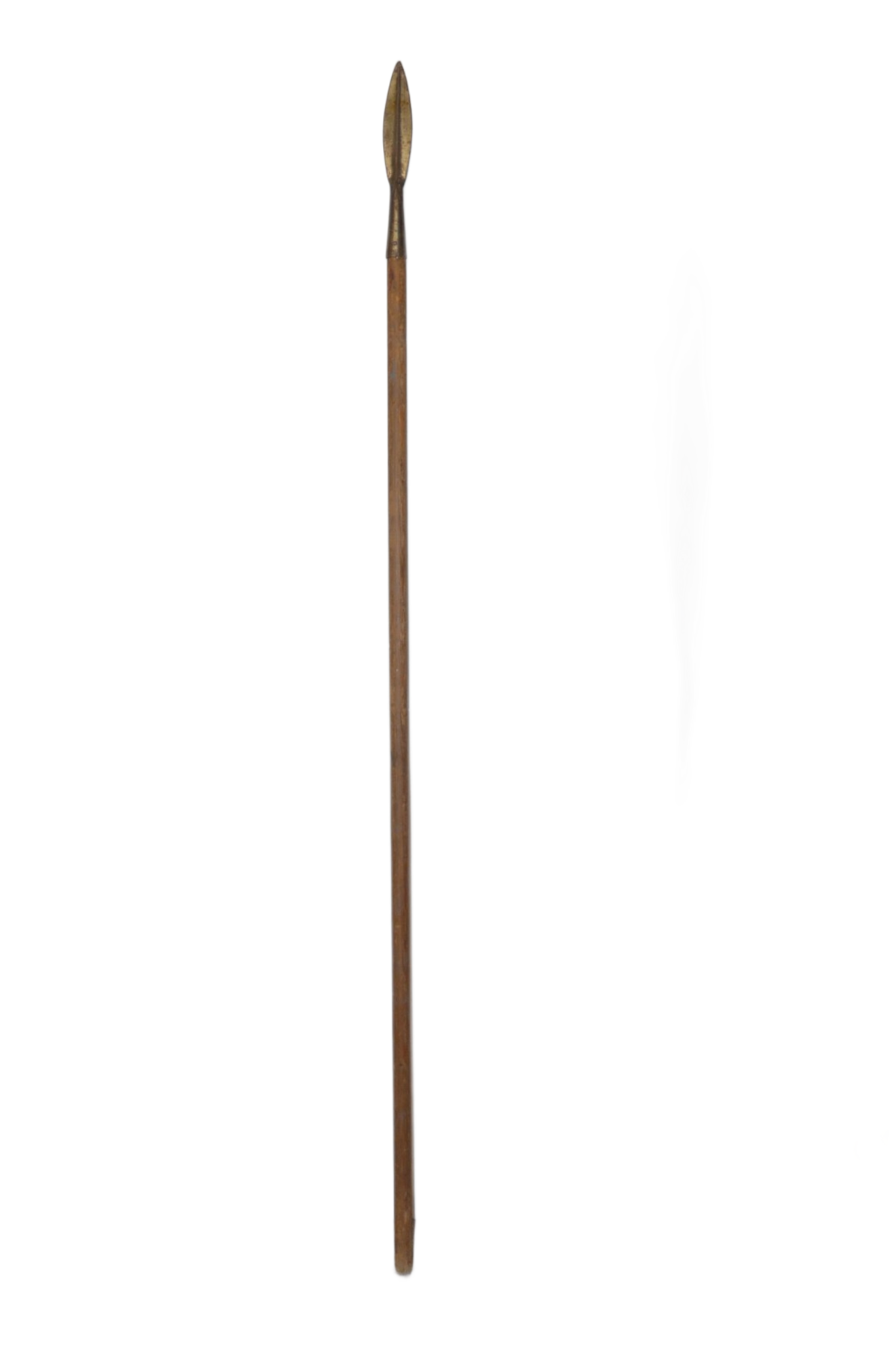 Holzspeer