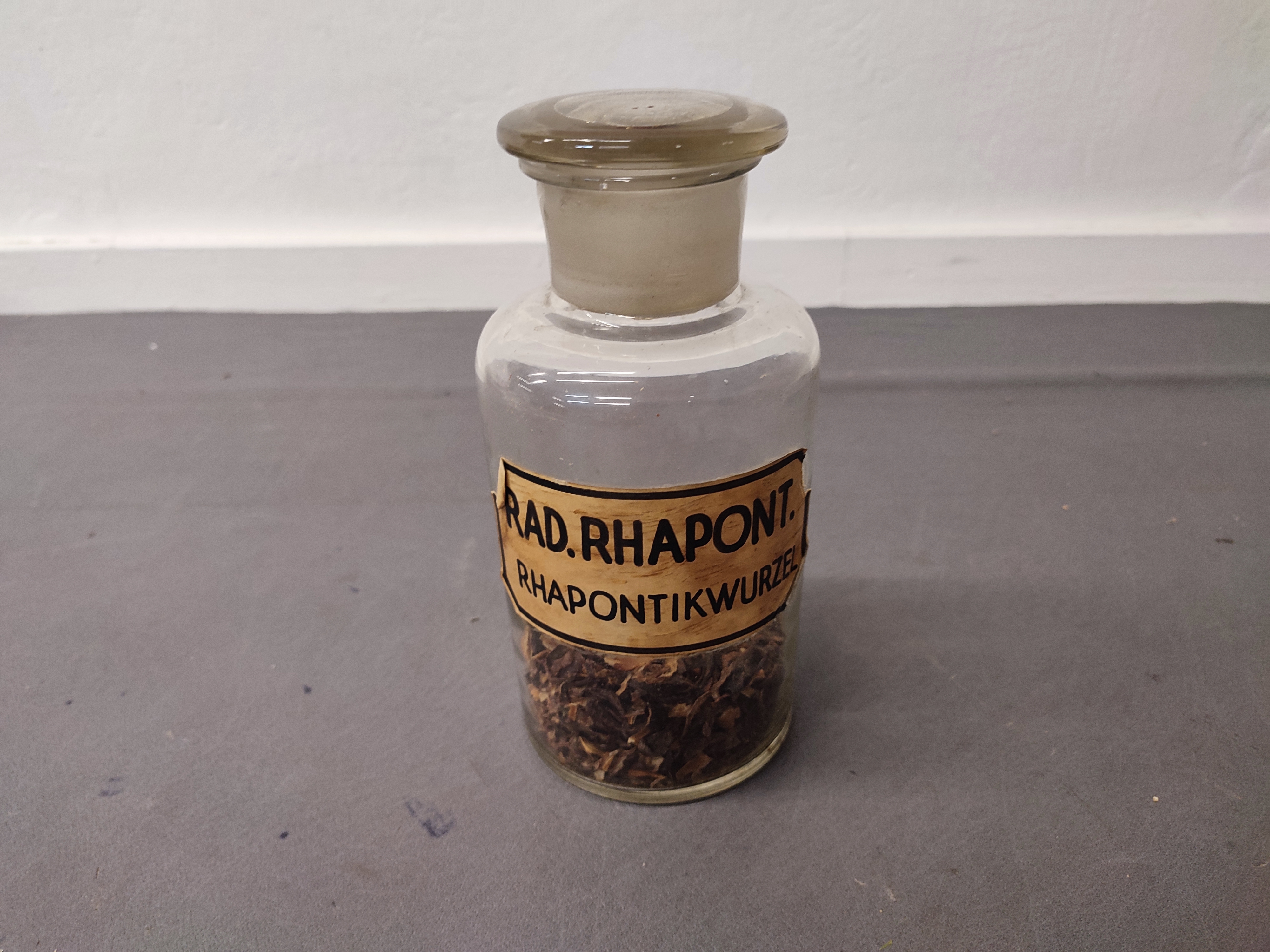 Rhaponikwurzel Glas