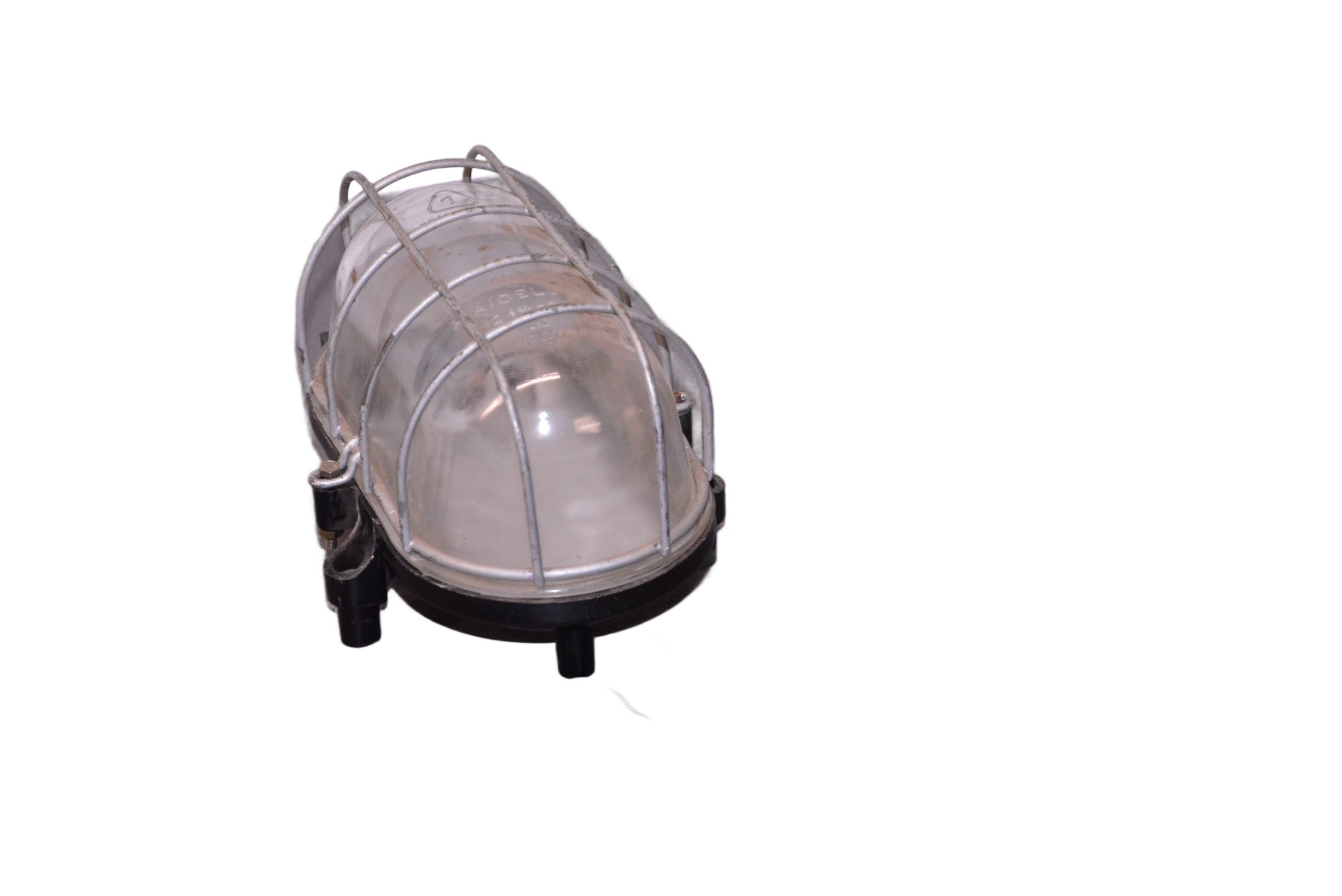 Schildkröte Kellerlampe