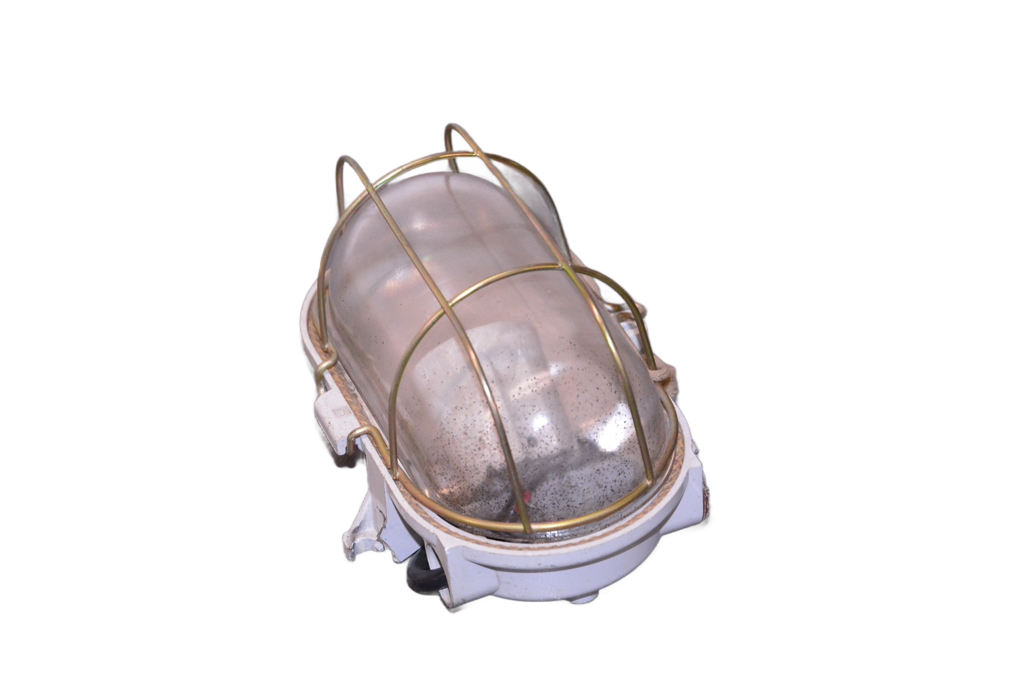 Schildkröte/ Kellerlampe