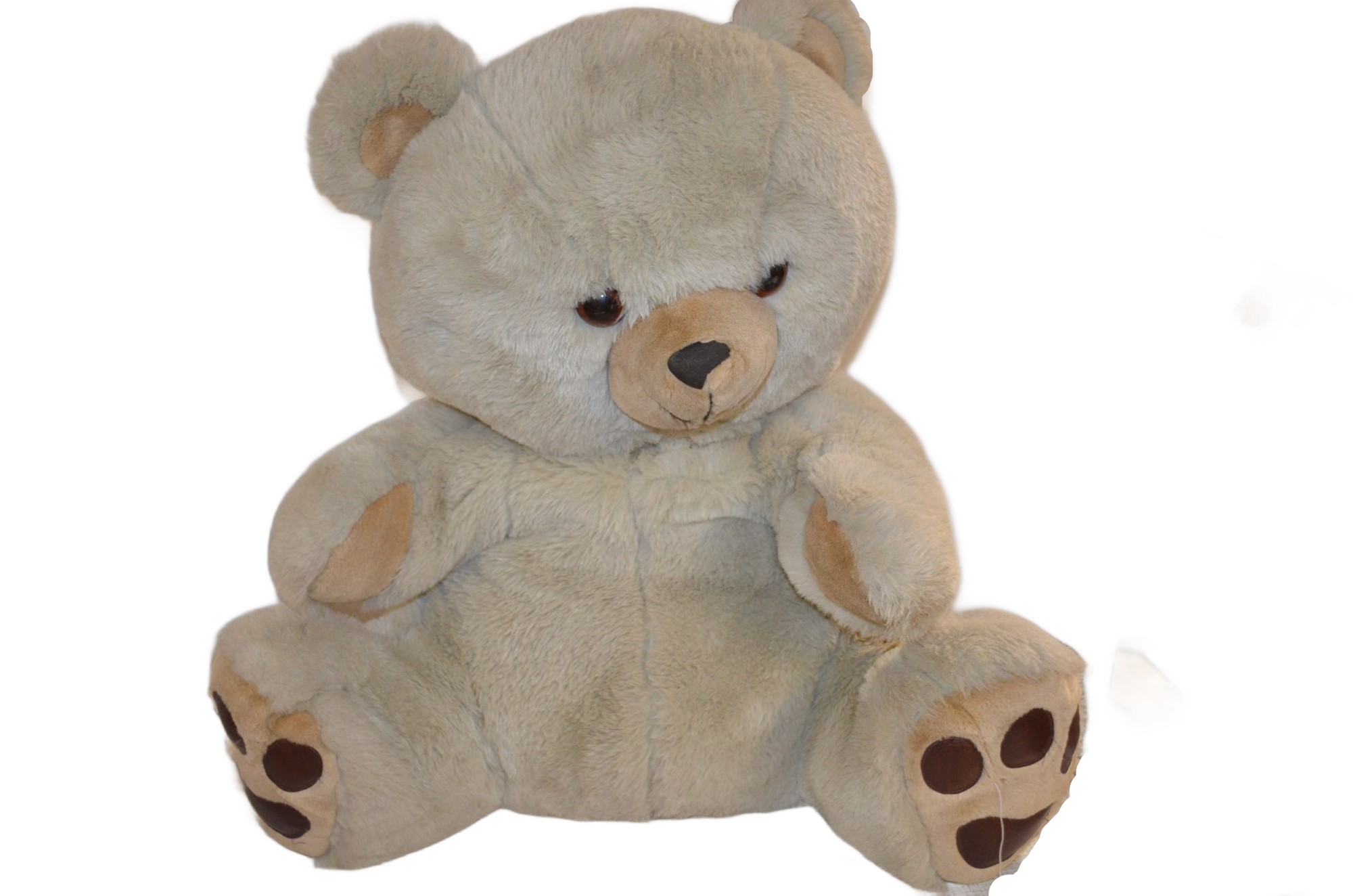 Teddybär