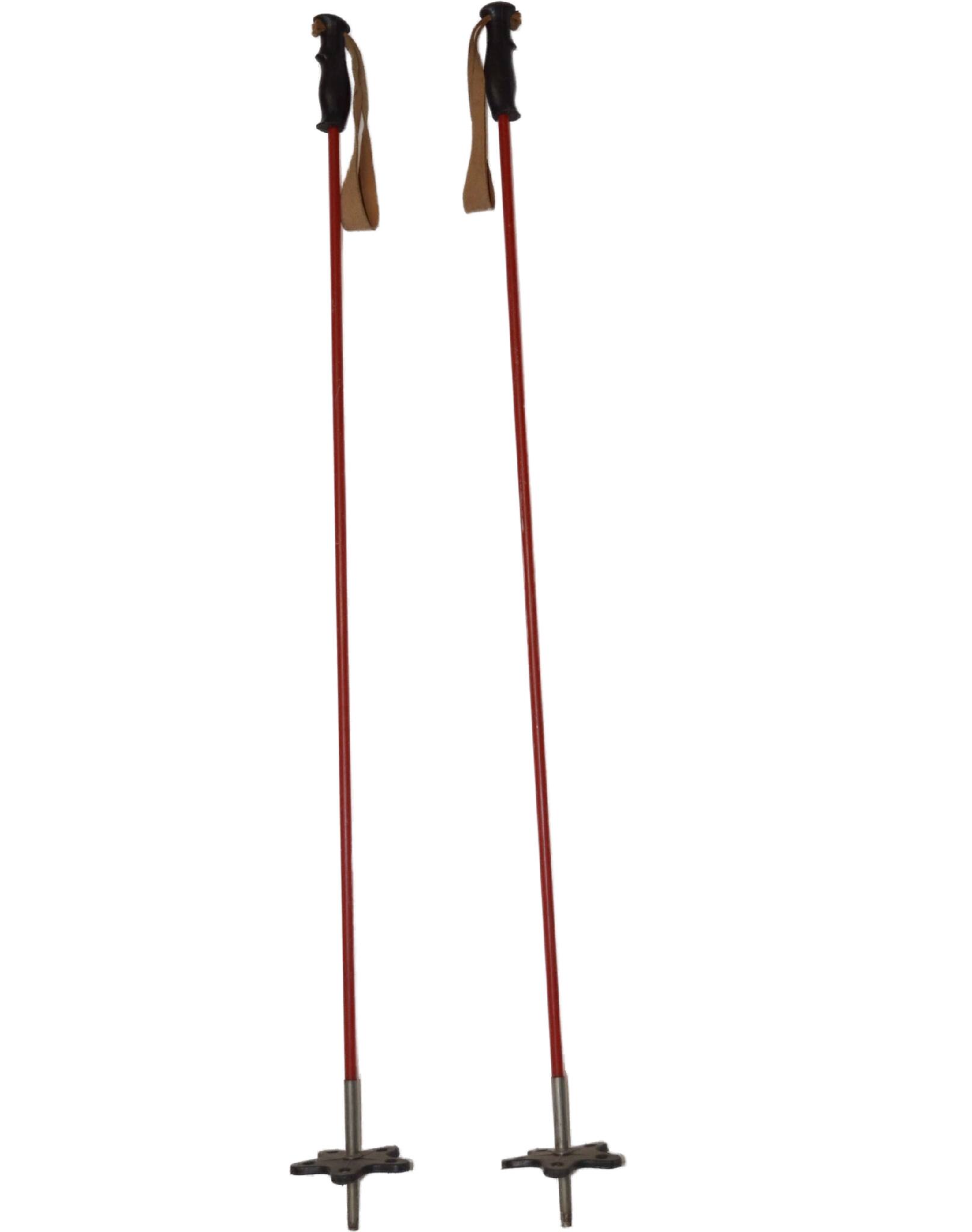 Skistöcke Erwachsener