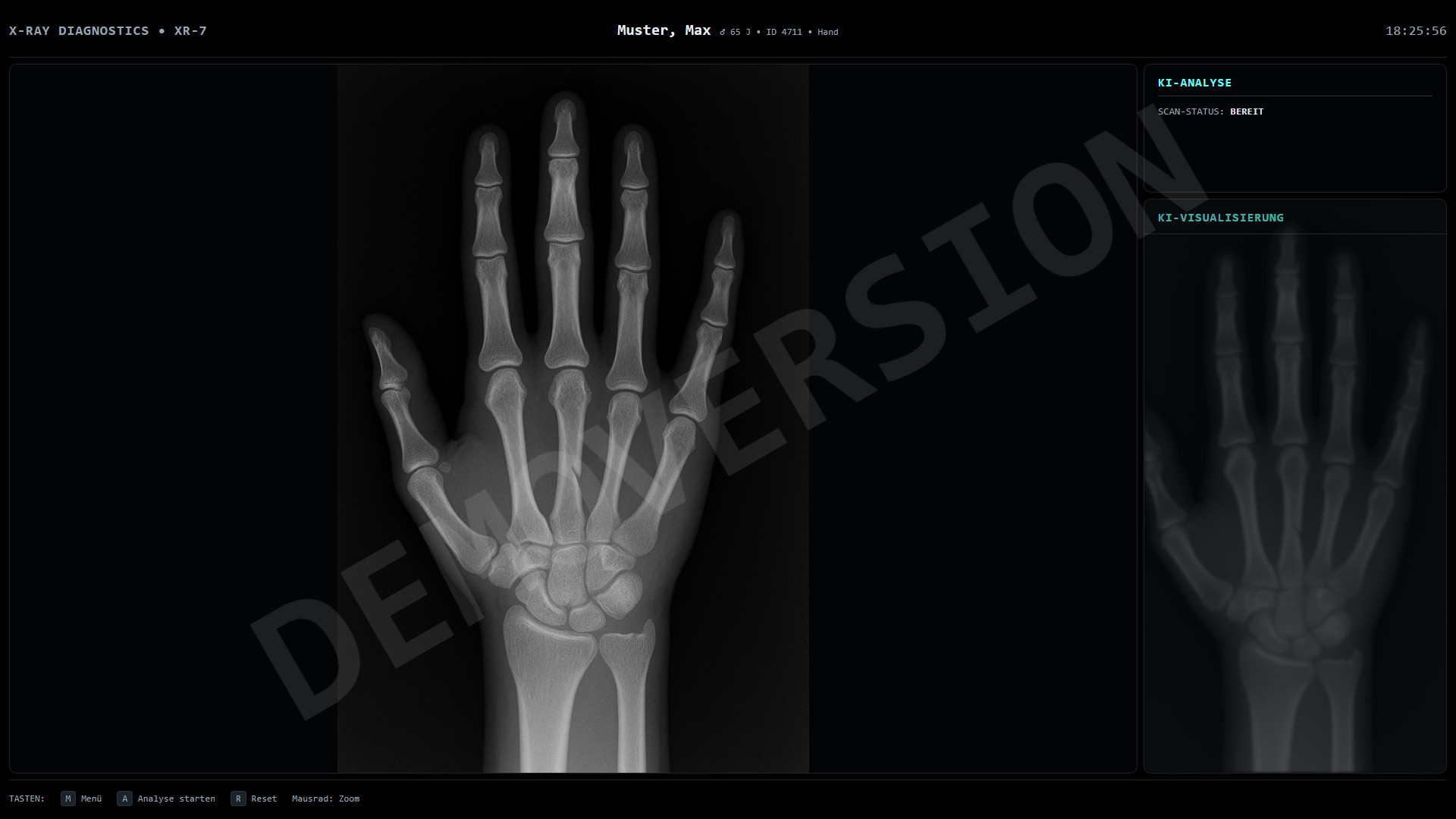 Radiologie Workstation