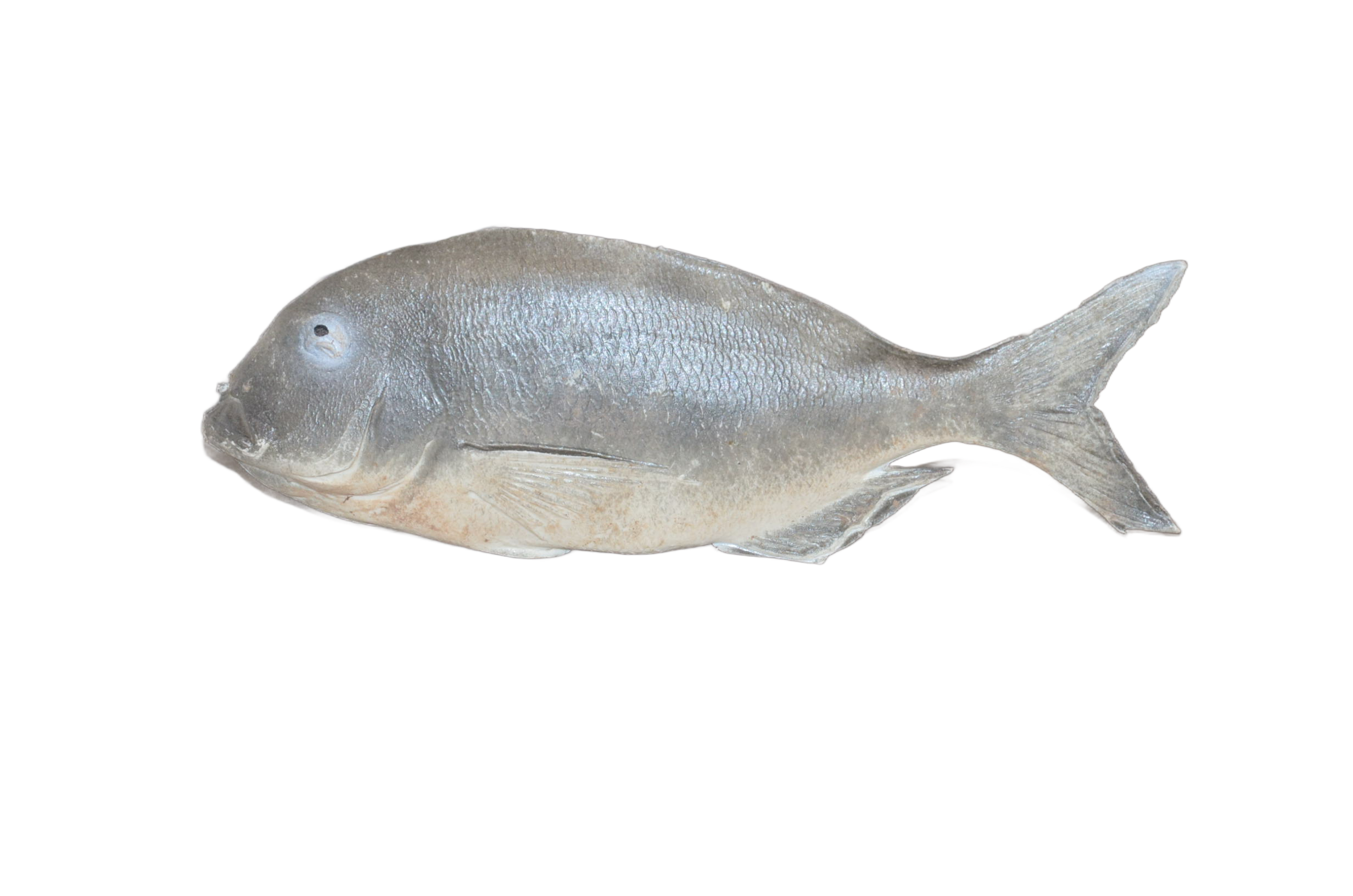 Fisch